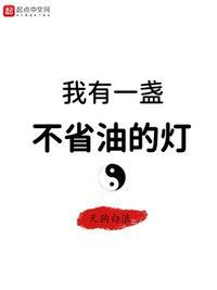 我有一盏不省油的灯在线