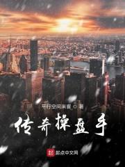 传奇操盘手txt精校
