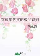 穿成年代文的极品媳妇(桃花露)TXT