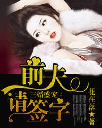 三婚盛宠前夫请签字全文免费阅读