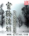 官路法则txt下书网