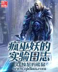 疯巫妖的实验日志epub