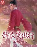 锦衣笑傲行女主