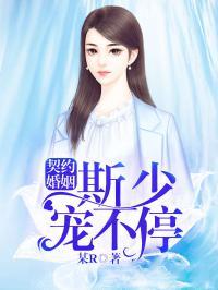 契约婚姻斯少宠不停百度