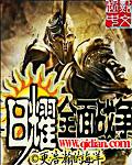 全面战争破解版