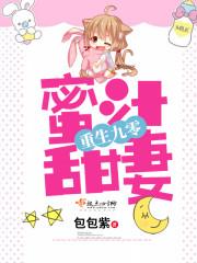 重生九零密宠甜妻