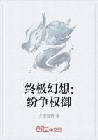 终极幻想：纷争权御