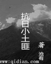 抗日小土匪