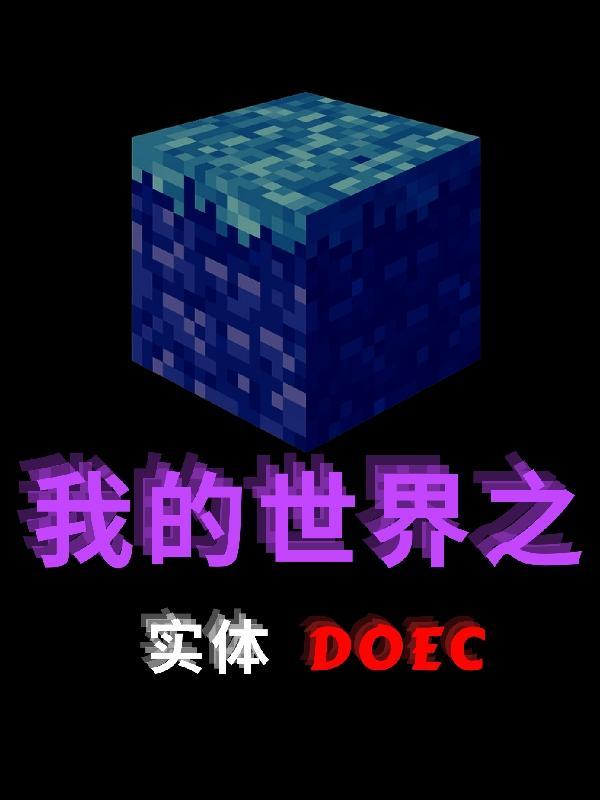 我的世界之实体DOEC