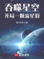 吞噬星空：开局一颗流星泪